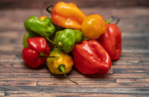 habanero peppers are one of the spiciest peppers which is good as as a substitute for chile de arbol