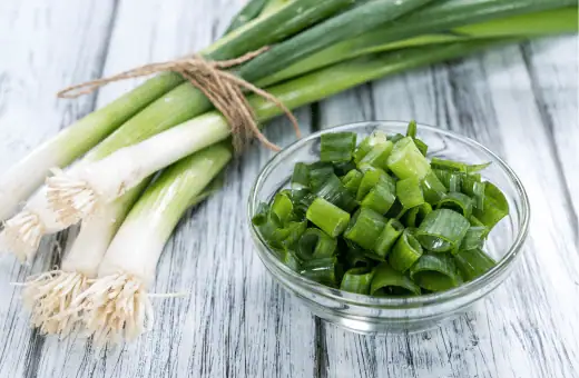 scallions are great substitute for ramps