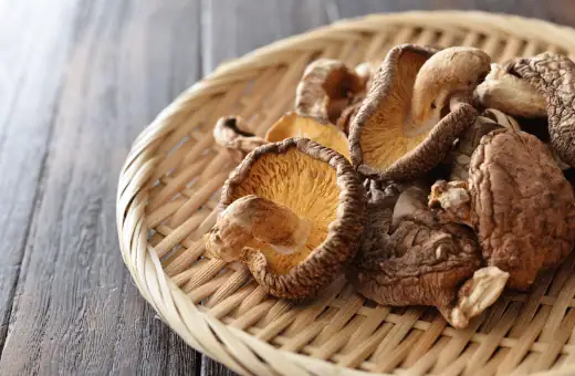 shiitake mushrooms are great alternative to chestnuts mushrooms