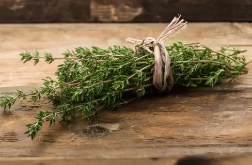 thyme is a great spur chili substitute