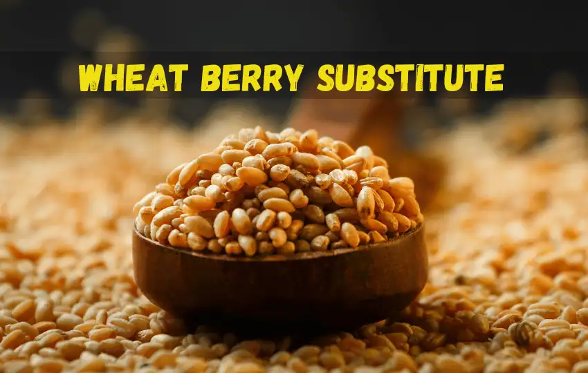 wheat berries are whole grains of wheat