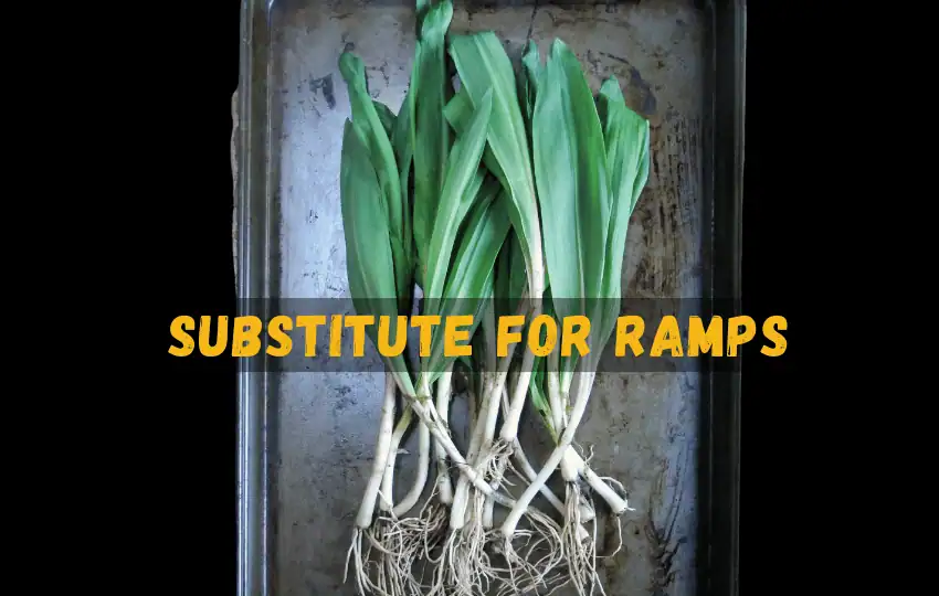 ramps are great cooking ingredients