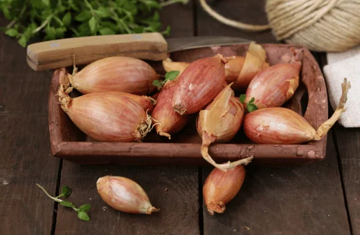 shallots are best substitutes for cipollini onions