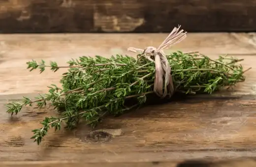 thyme is the excellent substitute for rosemary