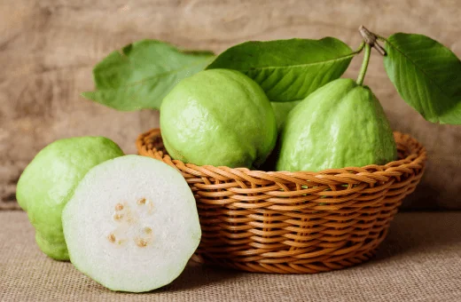 guavas make an excellent substitute for bartlett pear recipes