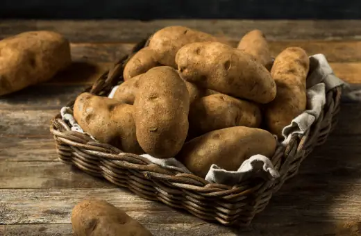 russets are another popular alternative for sebago potato substitutes