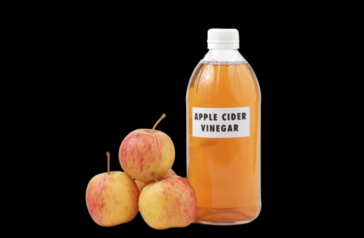 apple cider vinegar is great substitute for sherry vinegar