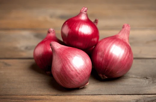 red onions are good alternative for cipollini onions
