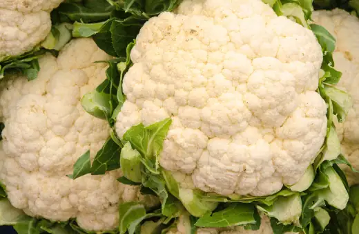 cauliflower is a great substitute for sebago potatoes