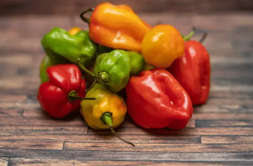 habanero peppers are an excellent substitute for thai peppers