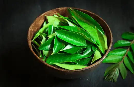 curry leaves are good replacement for bay leaves