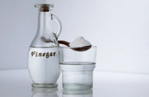vinegar is another tangy substitute for curd