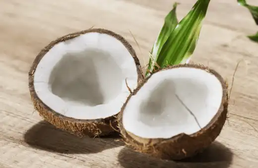 12 amazing substitutes for breadfruit with ratio & how to use 4 coconut is good replacement for breadfruit