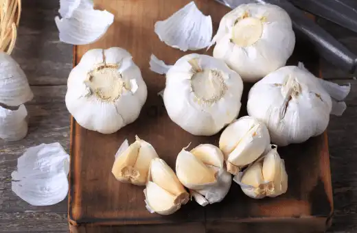 fresh garlic is most ideal garlic powder substitutes