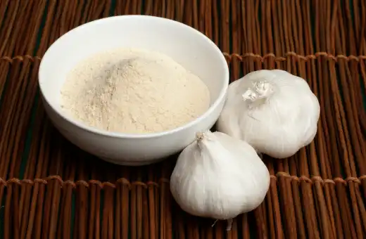 garlic powder is common garlic paste substitutes