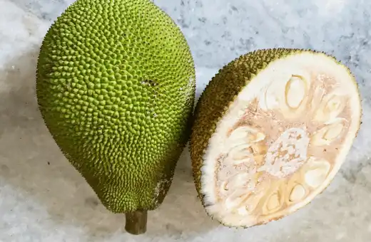 12 amazing substitutes for breadfruit with ratio & how to use 2 jackfruit is excellent substitute for breadfruit