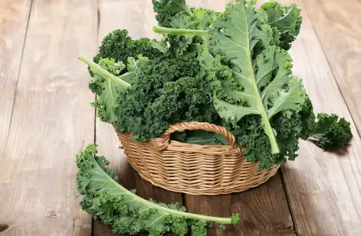 kale is good replacement for brussel sprouts