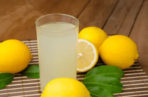 lemon juice is nice substitute for rennet