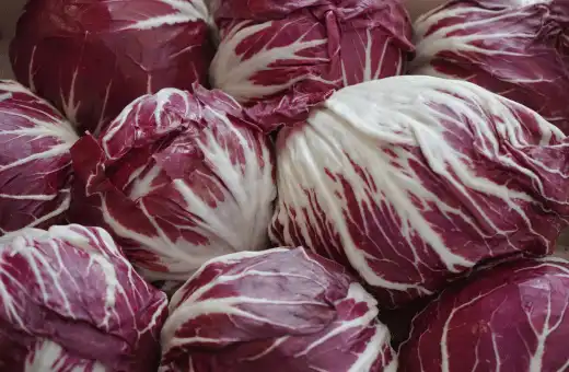 radicchio is nice alternate for brussel sprouts