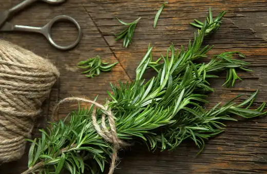 rosemary is nice parsley substitutes for garlic bread