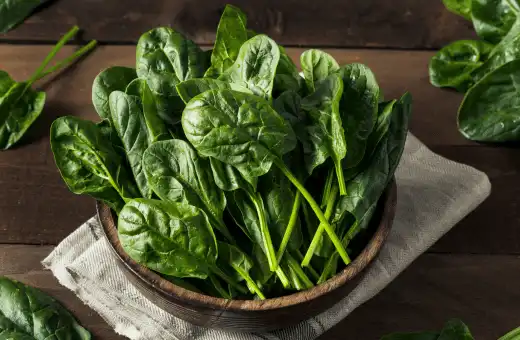 spinach is a good substitute for sorrel