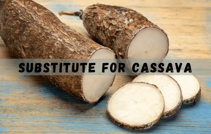 cassava is a starchy root vegetable
