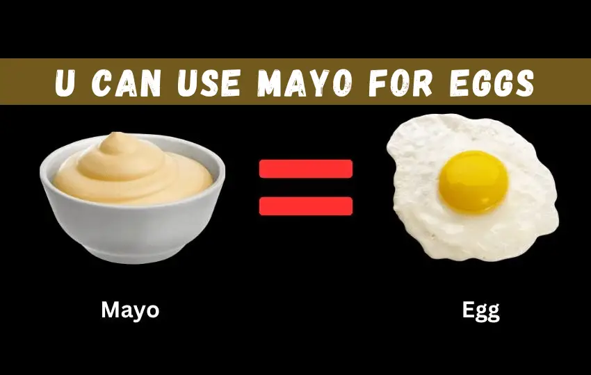 mayo short for mayonnaise is a thick creamy sauce