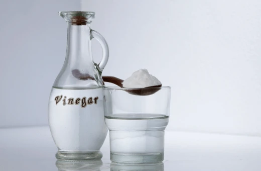 vinegar is nice accent salt substitute