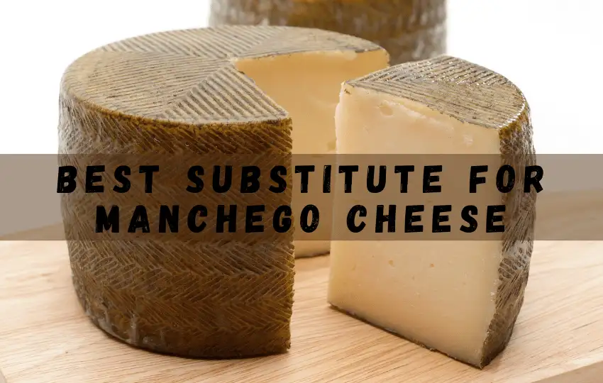 manchego cheese is a spanish cheese that is made from sheep's milk
