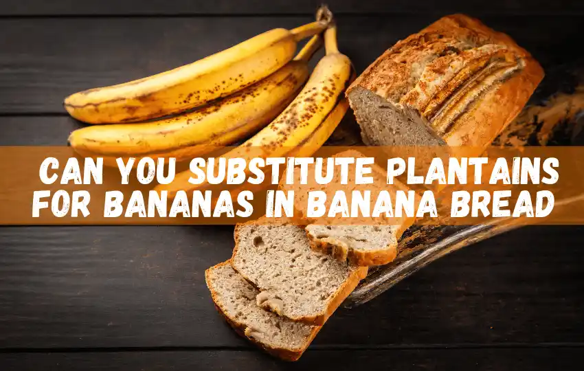 banana bread is one of the most traditional bread recipes out there and for good reason