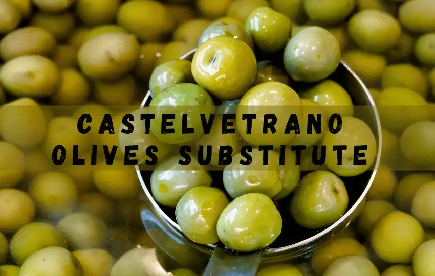 olives are a staple ingredient in many cuisines around the world
