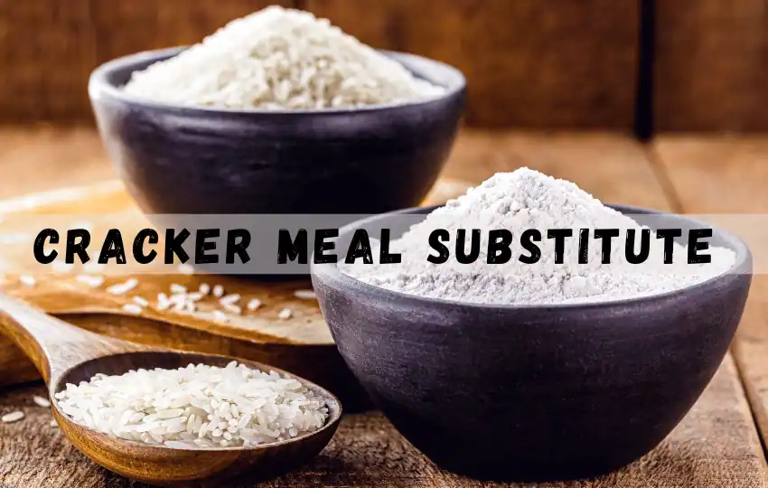 cracker meal is a type of coarsely ground flour made from dried crackers