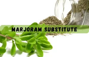 marjoram is an herb that is often used to flavor dishes of mediterranean and middle eastern origin