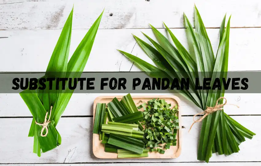Pandan leaves are long narrow leaves