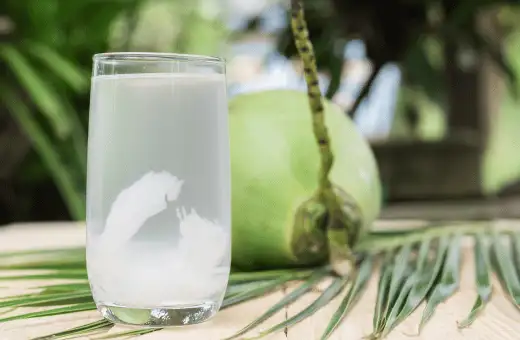 coconut water is good substitute for coconut rum