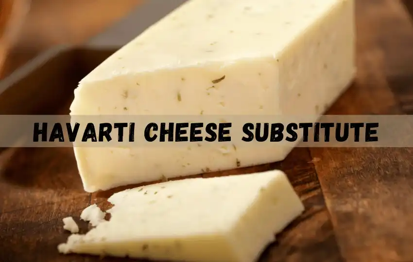 havarti cheese is a versatile and delicious type of cheese
