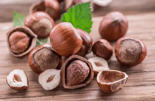 hazelnuts are nice alternates for walnuts