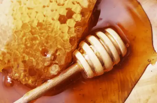honey is great butterscotch topping alternate