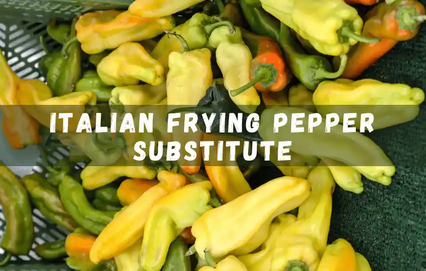 italian frying peppers also known as cubanelle peppers are mild and sweet peppers
