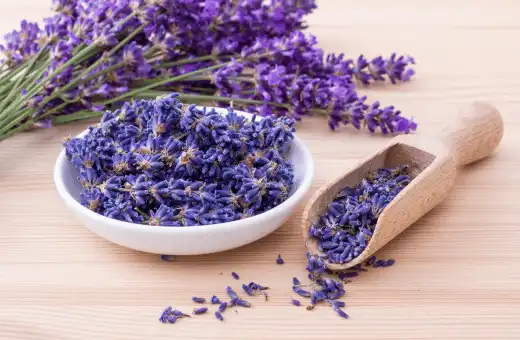 lavender is nice replacement for vanilla extract