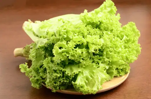 lettuce leaves are good substitute for egg roll wrappers