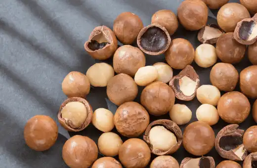 macadamia nuts are good walnuts alternates