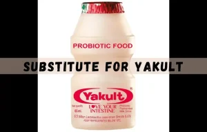 yakult is a probiotic drink that includes live bacteria cultures